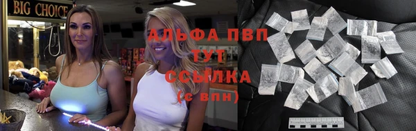 бошки Белокуриха