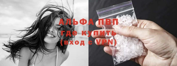 бошки Белокуриха