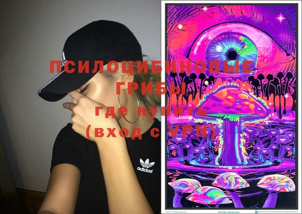 бошки Белокуриха