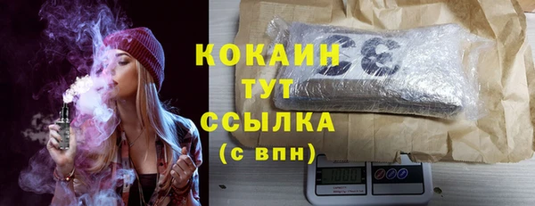 бошки Белокуриха