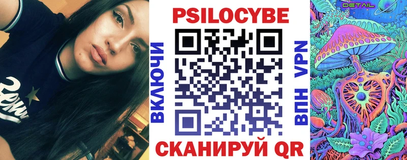 Псилоцибиновые грибы Psilocybe  Купить  Богородицк 